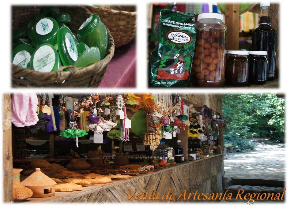 Reserva Ecologica Nanciyaga Catemaco Buitenkant foto