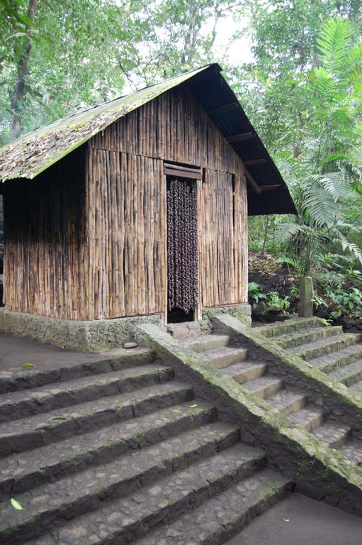 Reserva Ecologica Nanciyaga Catemaco Buitenkant foto