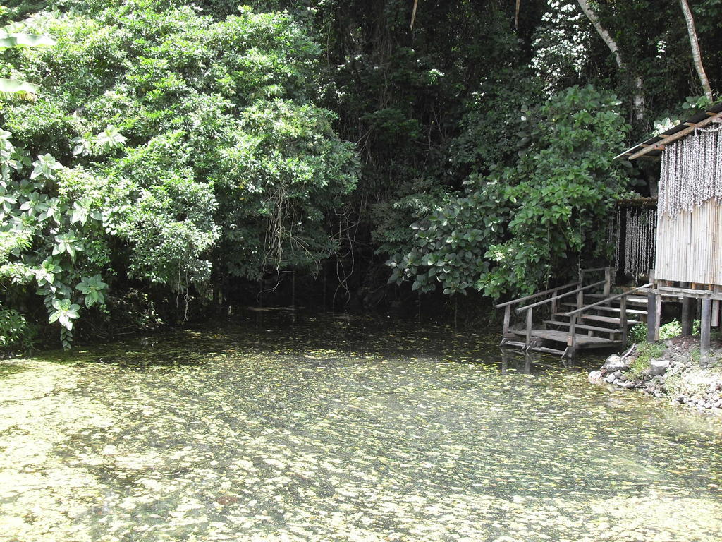 Reserva Ecologica Nanciyaga Catemaco Buitenkant foto
