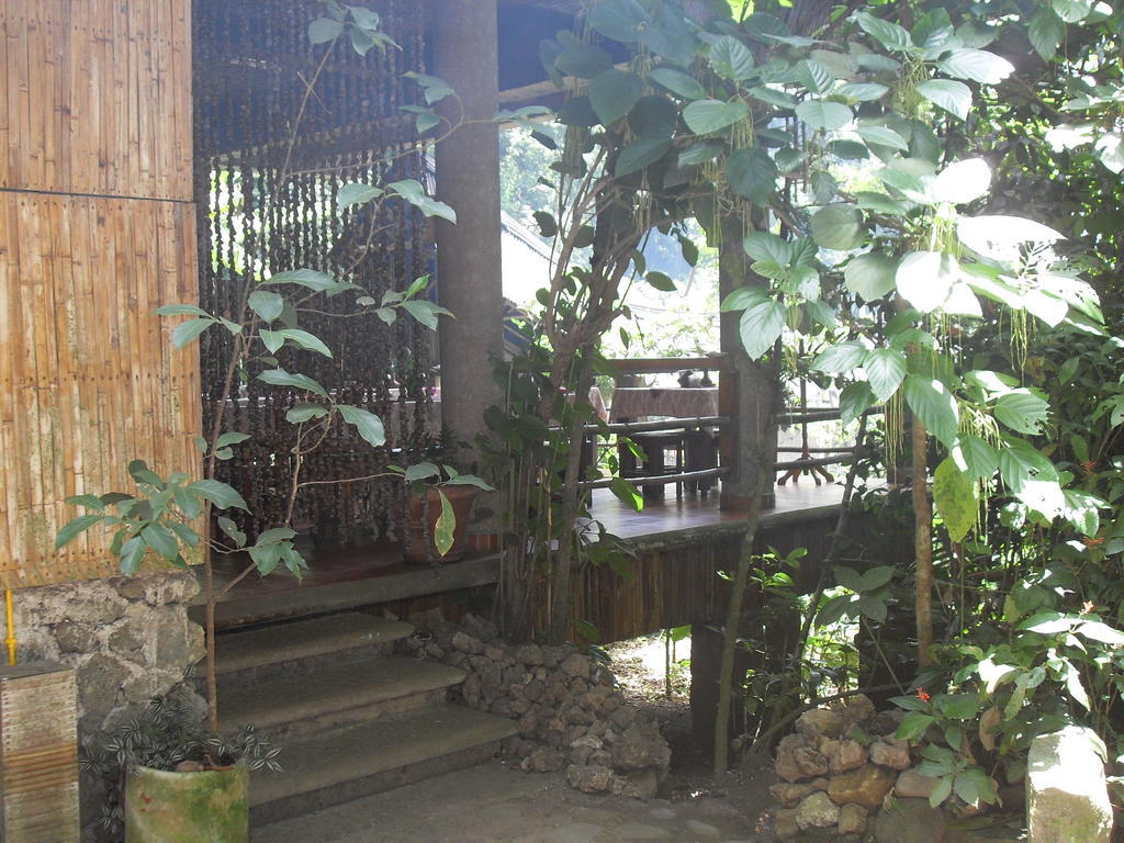 Reserva Ecologica Nanciyaga Catemaco Buitenkant foto