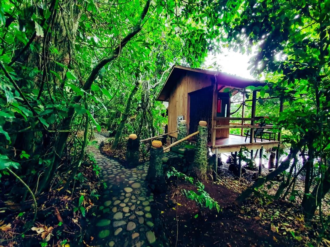 Reserva Ecologica Nanciyaga Catemaco Buitenkant foto